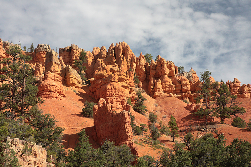 Bryce Canyon : Utah : Landscape Photos : Richard Moore : Photographer